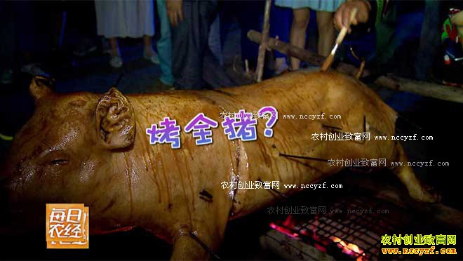 [ÿ��ũ��]��ɽ�ܵ��ܲ������۸�