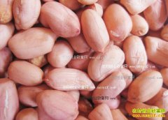 2016�껨���۸����飺�¼������׵��������