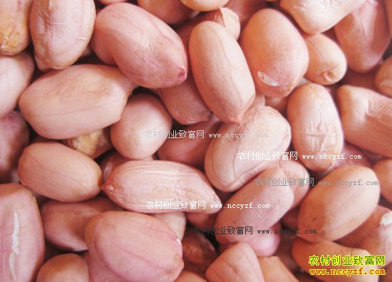 2016�껨���۸����飺�¼������׵��������