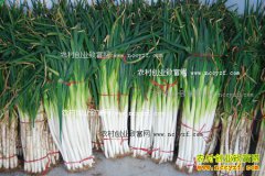 2016���м۸����飺����г�����ҵ�