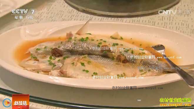 [�Ƽ�Է]���۽�(33) ���� 20160901