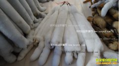 2016��9��2�պӱ��д�ëƤ�г�����Ƥ����ˮ��Ƥ�۸�