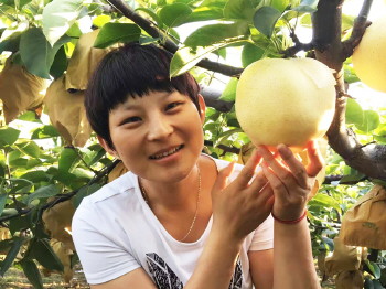 ɽ�����������١�ʯ���Ʒ�����ˮ����һ����30Ԫ