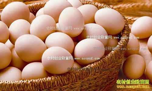 2016�������ǰ�����۸�����Ԥ��