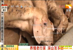 �¸��ð��������������༾����ɽ�������