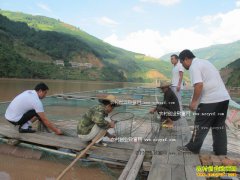 [ũ�����]��ˮ�������������������Ƶ