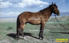 [ũ�����]����������ֳ������Ƶ