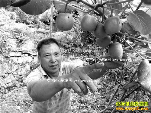 ����ᶼ��ѧ����ֲ40Ķ⨺���������50��Ԫ