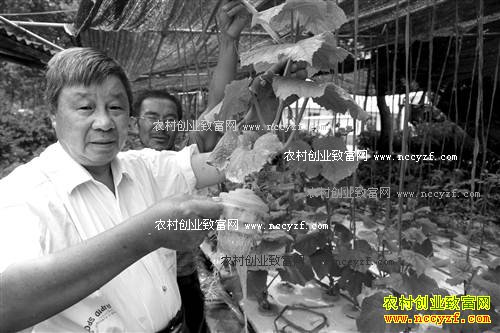 ���콭����ֲ2.6Ķˮ���������ֵ��40��Ԫ