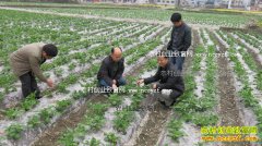 ������ֲ�ܶȶ�����ã�