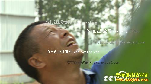 �¸����� �ֹϲ����������ǧ��