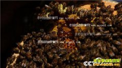 [�¸���]�ຣ���Ů������������۷�ĲƸ�����