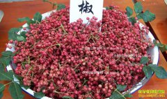 2016�껨���۸����飺�����۸���������