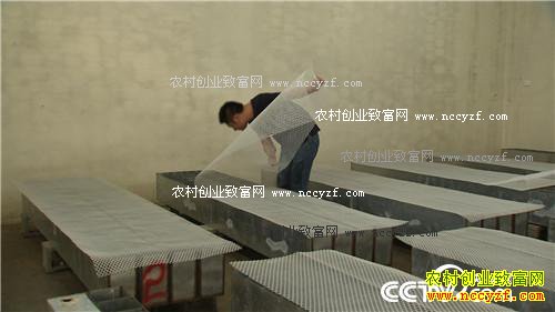 �������º�׬Ǯ