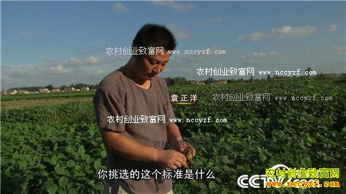 �������º�׬Ǯ