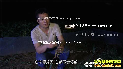 �������º�׬Ǯ