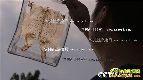 �������º�׬Ǯ