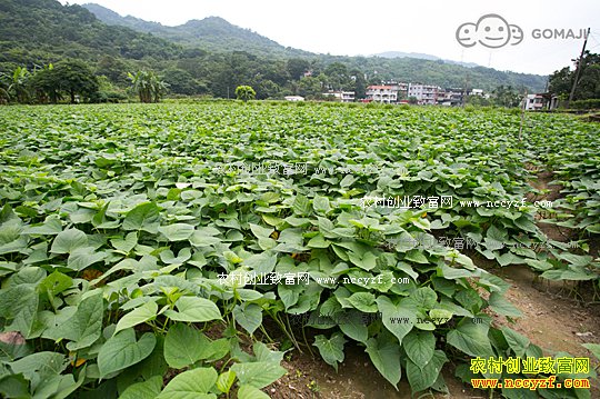 [ũ�����]�ĺ������༼��