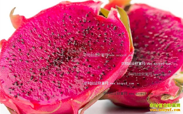 ����ת����ʳƷ������ר�ң���ȫ����