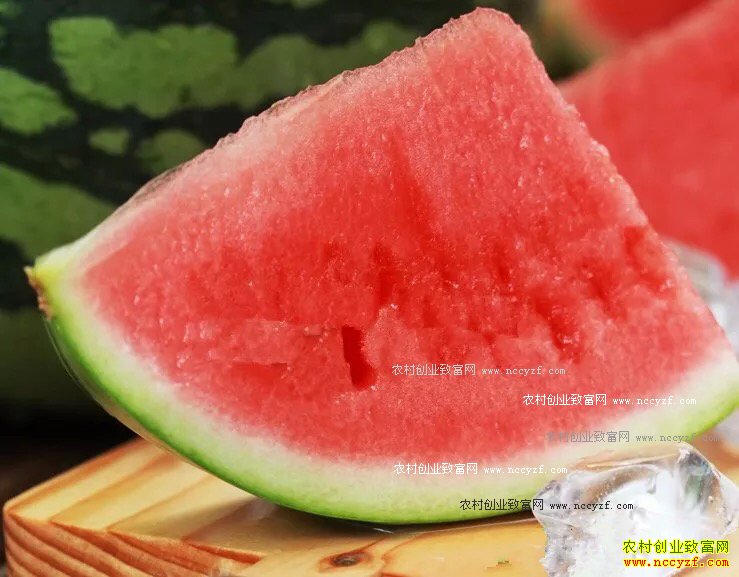 ����ת����ʳƷ������ר�ң���ȫ����