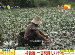 ũ���¸���Ŀ����ֲ���һĶ��׬�߰�ǧԪ