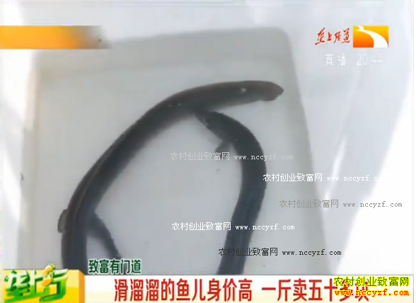 ��������������۸� һ������ʮ���