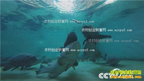 һ��̨�����˲���˵��ǧ��Ƹ�����