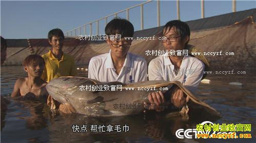 һ��̨�����˲���˵��ǧ��Ƹ�����