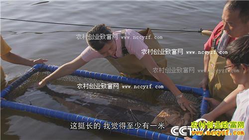 һ��̨�����˲���˵��ǧ��Ƹ�����