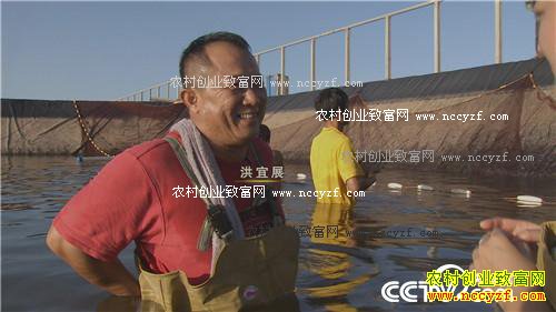 һ��̨�����˲���˵��ǧ��Ƹ�����