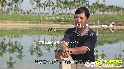 �¸�����̨������ץס������ĲƸ�