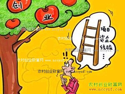 ũ�崴ҵ���ʹ�ҵ�ɱ����߸�����