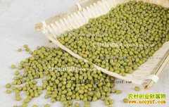 2016年绿豆价格行情:多因素挤压绿豆价上涨空间