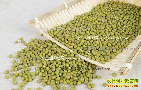 2016���̶��۸����飺�����ؼ�ѹ�̶������ǿռ�