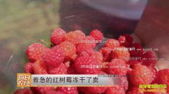 [ÿ��ũ��]�ż��ĺ���ݮ����������׬Ǯ