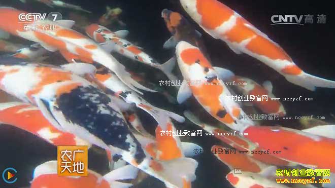 [ũ�����]������������� 20160921