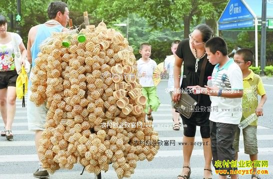 �ӱ�ƽɽ����������������ɹ�