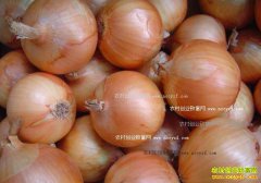 ��ж���Ǯһ�2017��2��15��������м۸�����