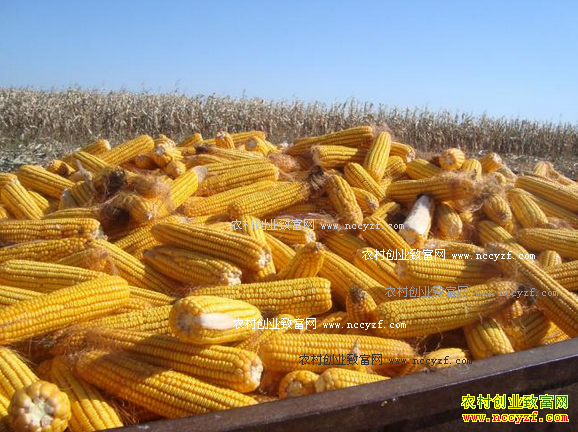 2016���׼۸������׼������� �۸����µ�ͨ��