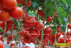 Խ��������Ҫ�������μ���