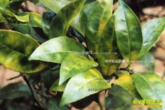 [ũ�����]���ٻ�������������ؼ���