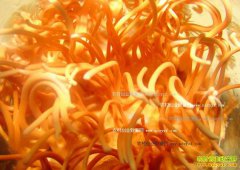 [ũ�����]Ӽ����˹���������