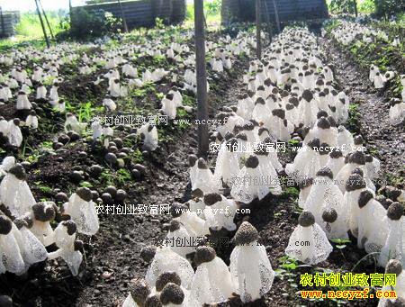 ���������أ���ݥ��ֲ��ũ���¸�����Ŀ