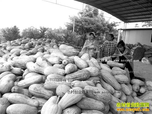 ����ͭ�������������Ϲ�ÿĶ����600Ԫ