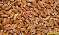 2016��С��۸��������ƣ���۸�������������