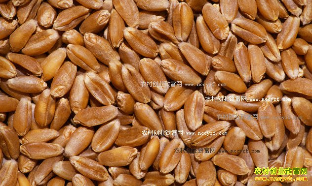 2016��С��۸��������ƣ���۸�������������