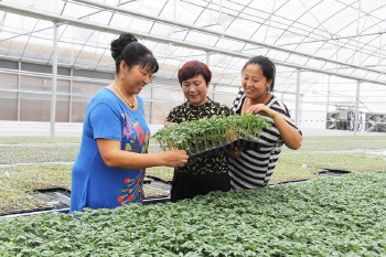 ɽ��۰�ǣ��߲�������� ��ũ�����ֲ�