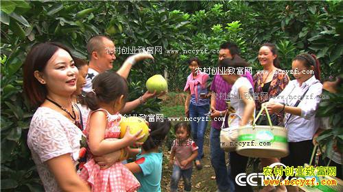 ��������� ���3000��