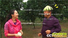 [�¸���]�Ĵ�����Ƚ������������� ���3000��