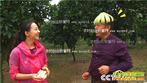 �¸�������������� ���3000��